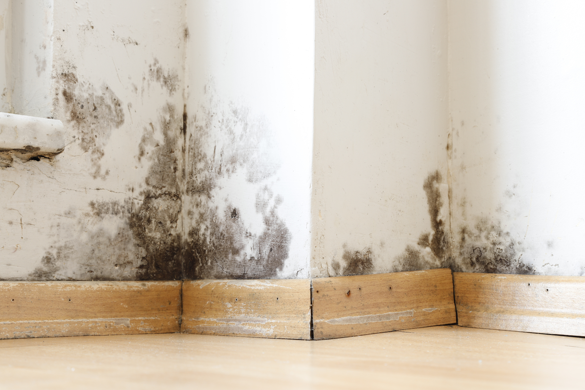 Water Damage Restoration - View 2